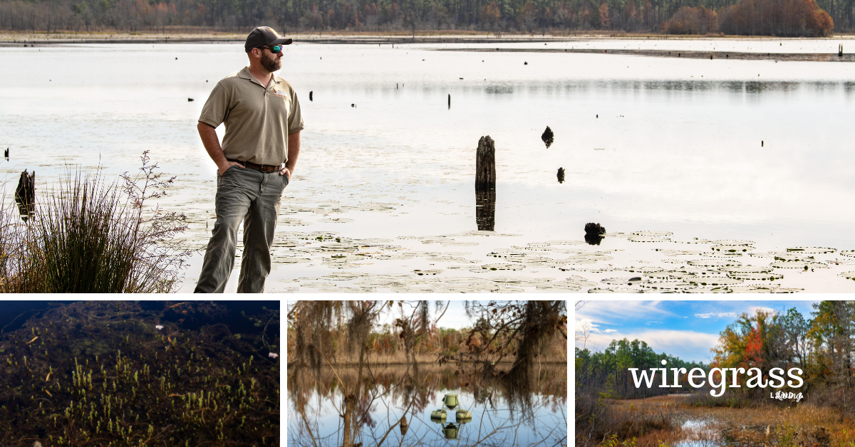The Pond Primer Southwest Farm Credit